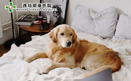 白癜風的潛在危害有哪些?應(yīng)該如何護理?